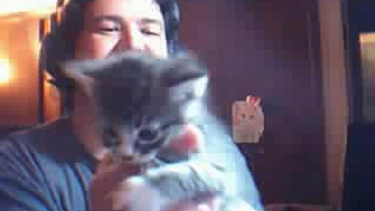 Content thumbnail