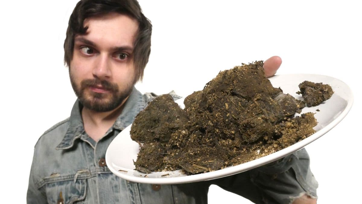 Content thumbnail