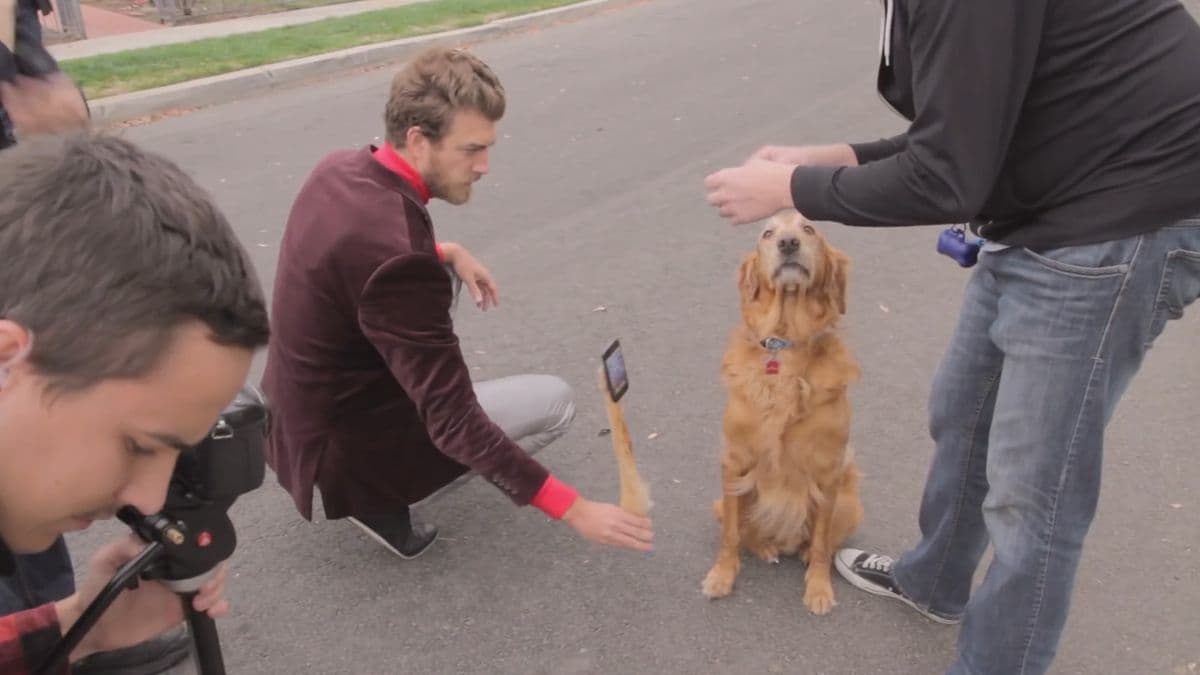 Content thumbnail