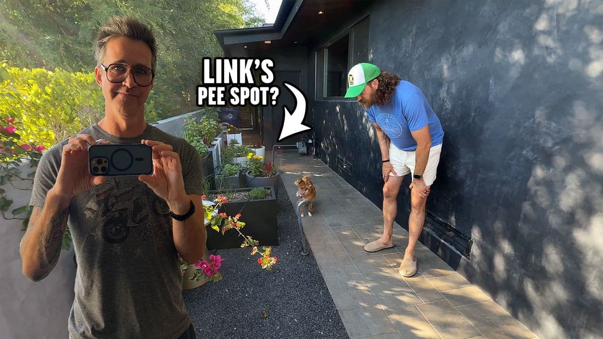 Content thumbnail